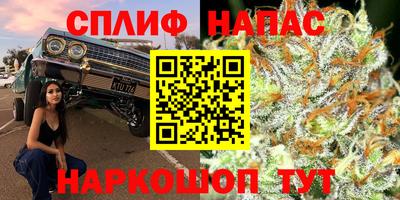 jwh Будённовск